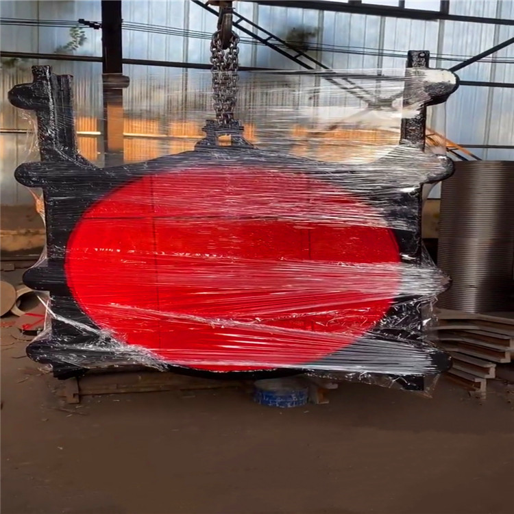 铸铁闸门